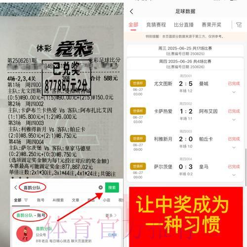 世界杯竞彩中团队战术与个人发挥的双重影响探析